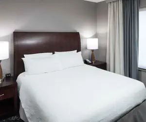 Photo 5 - Hilton Garden Inn Detroit/Novi