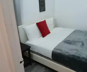 Photo 4 - Gladiolas 1103