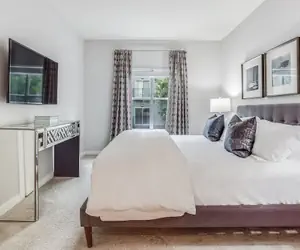 Photo 5 - Picture Perfect