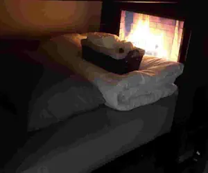 Photo 4 - Luxury Stays - Hostel