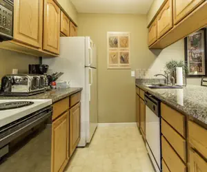 Photo 5 - Treehouse Condo Lake Resort