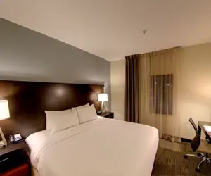 Photo 3 - 1 Bdrm 1 Kng Hearing Access Nonsmoking