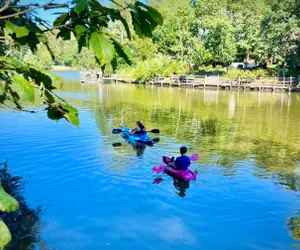 Photo 4 - The Compass Rose