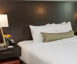 Photo 2 - 1 Bdrm 1 Kng Hear Access Roll In Shwr Ns