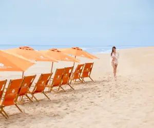 Photo 4 - Suite | Sunset View Junior