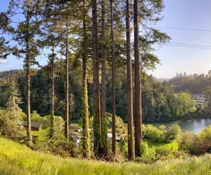 Photo 5 - A - Riverview