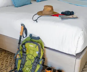 Photo 5 - GR | King Hotel Room