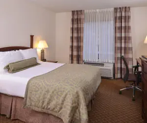 Photo 4 - 2 Bdrm Ste 1 Queen 2 Double Nonsmoking