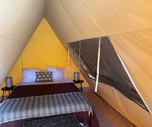 Photo 2 - Lake Livingston Glamping Getaway