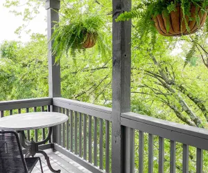 Photo 5 - Johnny & June’s 12S Treehouse - Rooftop Deck