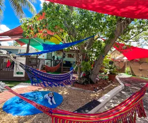 Photo 4 - Hammocks & Mini-Golf! 10 mins from Beach! KING Bed!