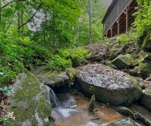 Photo 5 - Gillford Cottage - Creek, Private, Lake Access!