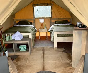 Photo 2 - Boutique Safari Tent Near SpaceX Launch Site