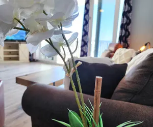 Photo 5 - Gorgeous, private and unique 1136  , incredible Fountain Show views!