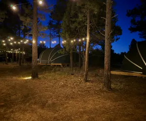 Photo 5 - Winter Glamping Under the Manzano Stars