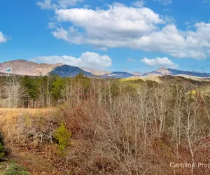 Photo 3 - Cozy Bear Lodge - *Decorates for Christmas* Big View, Spacious Home!