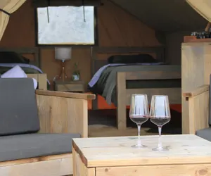 Photo 3 - Boutique Safari Tent Near SpaceX Launch Site