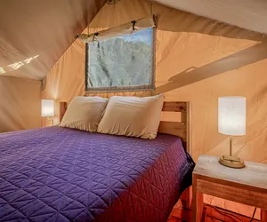 Photo 3 - Secluded| Near Gatlinburg and Asheville|WiFi|AC