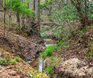 Photo 2 - Gillford Cabin - Pet Friendly, Creek, Lake Access!