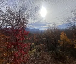Photo 4 - Luxury 5bd MTN VIEWS, hot tub, many bear sightings