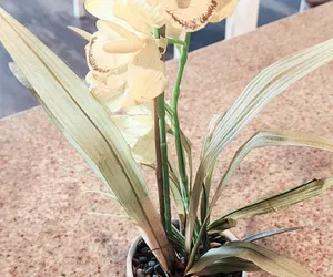 Photo 4 - Exceptional unit! Extra large offering the best set up and views!