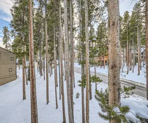 Photo 3 - Gold Camp I 131