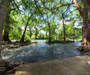 Photo 3 - WW i203 Guadalupe River Nut House