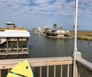 Photo 3 - Fish Bones