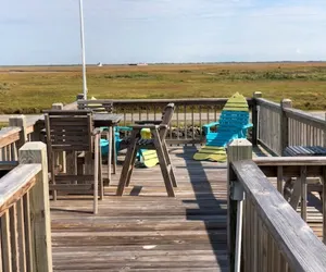 Photo 5 - Fish Bones