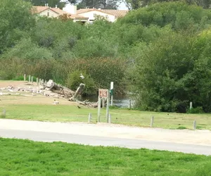 Photo 3 - 618 Airpark