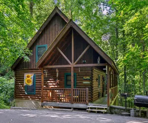 Photo 2 - Forest Fling