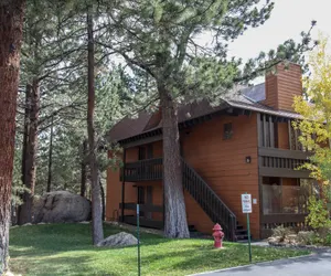 Photo 3 - La Residence V S02 Remodeled and Cozy, Great Complex Amenities, Quiet Forest Setting
