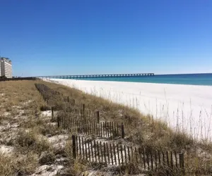 Photo 3 - Sea Oats