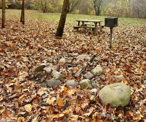 Photo 5 - Jon's Pond on Cosby Creek