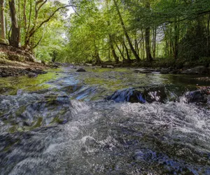 Photo 2 - Wandering Creek