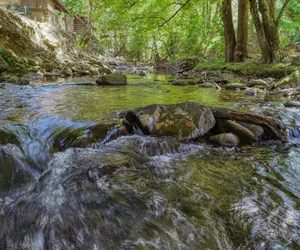 Photo 2 - Creek Heaven