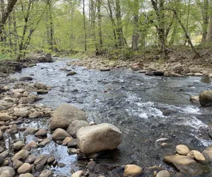 Photo 2 - Home Sweet Home on Cosby Creek