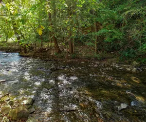 Photo 2 - Whispering Creek
