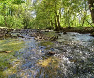 Photo 4 - Whispering Creek