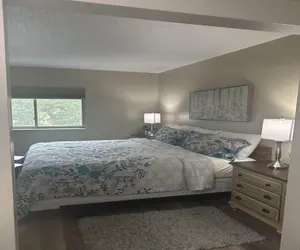 Photo 4 - Little Pigeon River 401 2BD Condo with Jacuzzi Tub