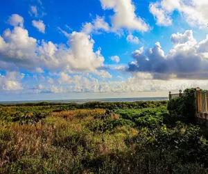 Photo 3 - Continental 101