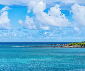 Photo 4 - Napili Shores D229  Studio Condo