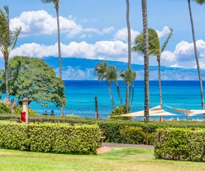 Photo 2 - Napili Shores D229  Studio Condo