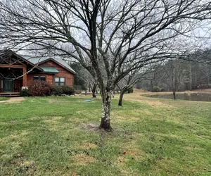 Photo 3 - Parkland, Deluxe Log Cabin, a Hot Tub and a Lake!