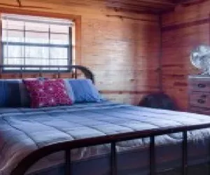 Photo 4 - Sierra Escape Cabin with Fire Pit and Charcoal Grill
