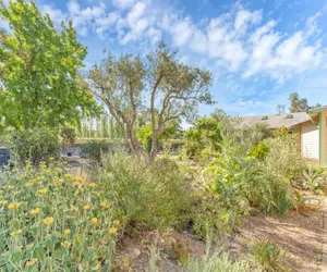 Photo 3 - Wine Country Lush Warm Home with Outdoor Gardens!