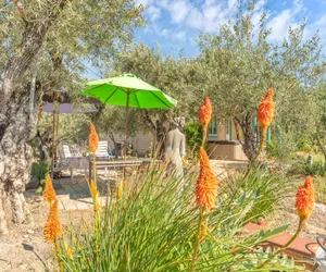 Photo 5 - Wine Country Lush Warm Home with Outdoor Gardens!