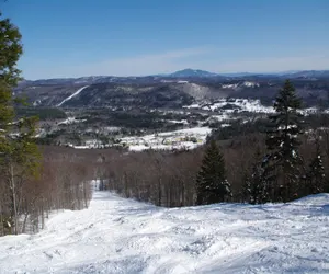 Photo 5 - Okemo Westwood Condo