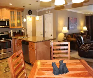 Photo 5 - St Anton Condos #67