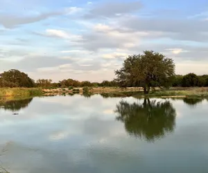 Photo 2 - 50 Acre Countryside Haven With Hiking Trails, Fossils, Pickleball Court, Basketball, Arcade, and Pool